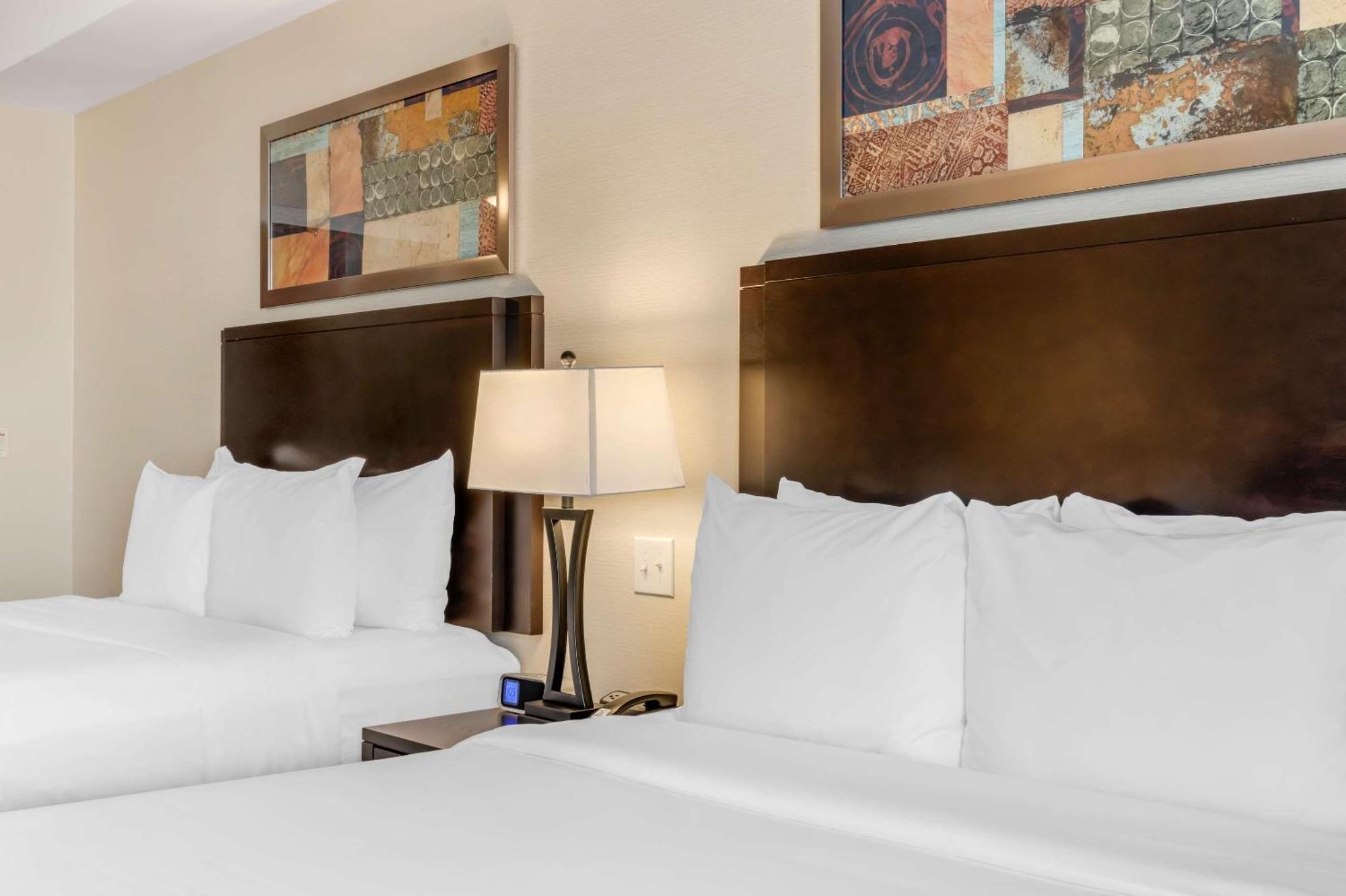 Comfort Hotel Bayer'S Lake Timberlea Ngoại thất bức ảnh